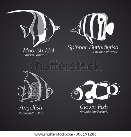 Exotic fish in linear style. Part 2