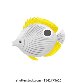 Exotic fish on white background. Water life.