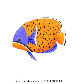 Exotic fish on white background. Water life.