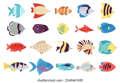 Pescado exótico. Criaturas coloridas, peces marinos o vida tropical oceánica. Subacuático y acuario lindo animal y pez dorado. Caracteres vectores de agua decentes aislados