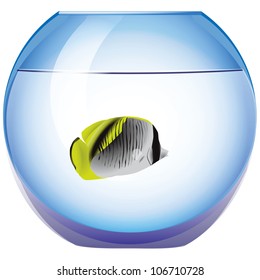 Exotic fish in the tank round. Vector illustration.