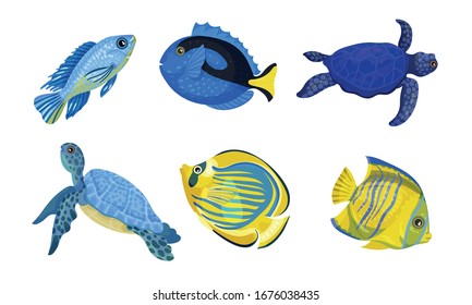 Exotic Fish and Turtles with Bright Colouring Vector Set