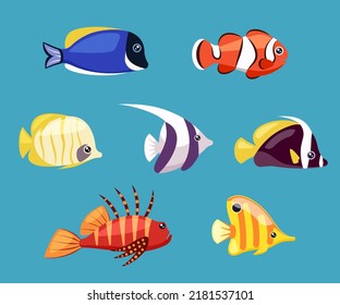 exotic fishes  river