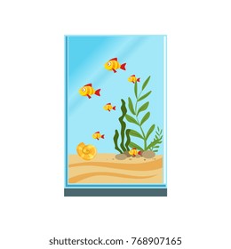 Exotic fishes in tall glass aquarium with sand, stones and different green algae. Tank with sea creatures. Underwater world. Colorful flat vector illustration
