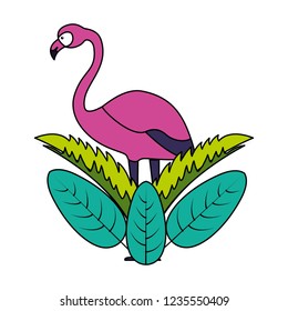 exotic flamingo bird leaves tropical