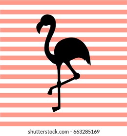 Exotic flamingo black silhouette on pink striped background. Illustration vector.