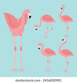 Exotic flamingo set on a blue background. Pink flamingos stand in different poses. Vector illustration