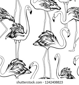 Exotic flamingos flamboyance group gathering seamless pattern. Black white outline sketch drawing. Wading bird species feather realistic detailed vector design illustration. Standing moving posture.