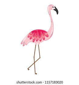 exotic flemish bird tropical animal