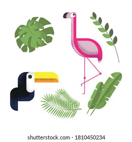 Exotic flora and birds on a white background. Monstera, palm leaves, banana leaves, noise texture. Elements for creating compositions. Isolated flamingo and toucan.