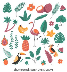 Exotic flora and fauna, birds and plants of tropics. Isolated palm tree, bushes and flowers. Flamingo and monstera, passion fruit and banana, watermelon slice. Vector in flat style illustration