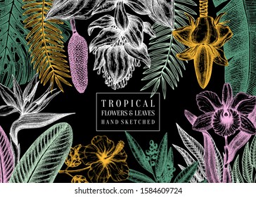 Exotic flora vector frame. Tropical plants, exotic flowers, citrus fruits, palm leaves sketches. Tropical background with orchid, monstera, bird of paradise, ginger, laurel, hibiscus, banana leaves. 