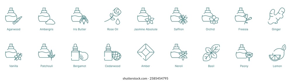 Exotic and Floral Fragrance Notes Vector Icon Set