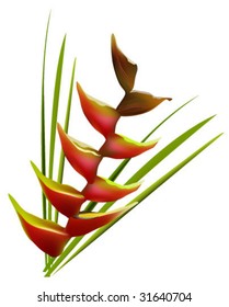 exotic flower