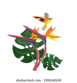 Exotic flower and bird, monstera, garden concept