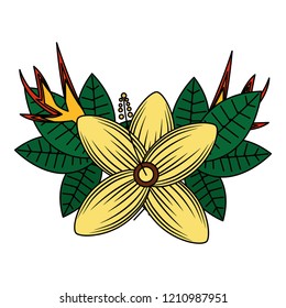 exotic flower foliage tropical summer