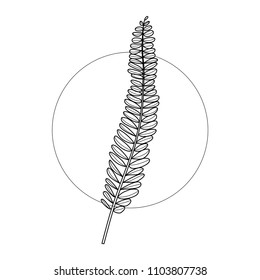 Exotic flower in geometric background. Simple icon composition. Vector illustration. Line work. Modern monochrome logotype. Nature representation.