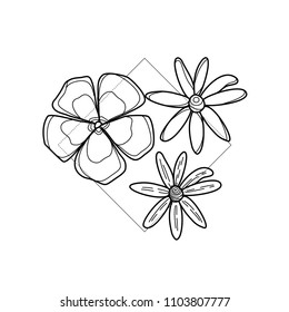 Exotic flower in geometric background. Simple icon composition. Vector illustration. Line work. Modern monochrome logotype. Nature representation.