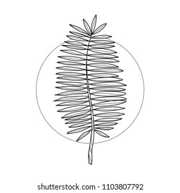 Exotic flower in geometric background. Simple icon composition. Vector illustration. Line work. Modern monochrome logotype. Nature representation.