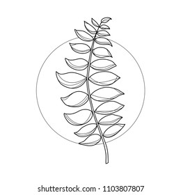 Exotic flower in geometric background. Simple icon composition. Vector illustration. Line work. Modern monochrome logotype. Nature representation.