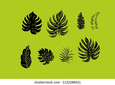 exotic flower graphic design vector art