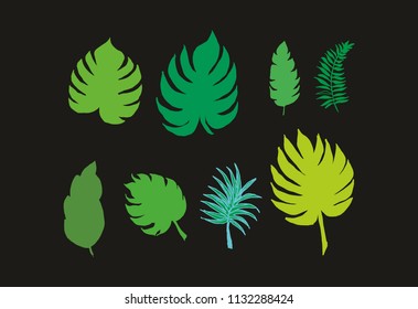 exotic flower graphic design vector art