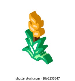exotic flower icon vector. isometric exotic flower sign. color isolated symbol illustration