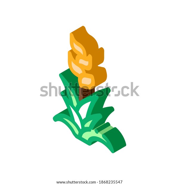 exotic flower icon vector. isometric\
exotic flower sign. color isolated symbol\
illustration
