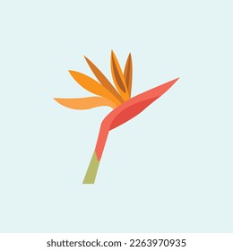 Exotic flower from Madeira Island. Strelitzia Reginae flower. Flat illustration.