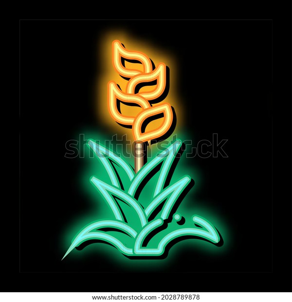 exotic flower neon light sign vector. Glowing bright icon exotic flower ...
