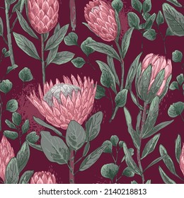 Exotische Blume Protea rosa Muster. Botanische Vektorgrafik
