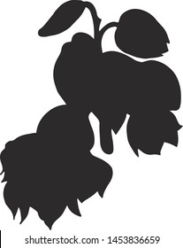 exotic flower silhouette in vector