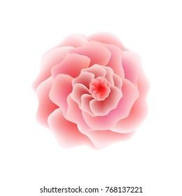 Exotic flower. Vector illustration.
