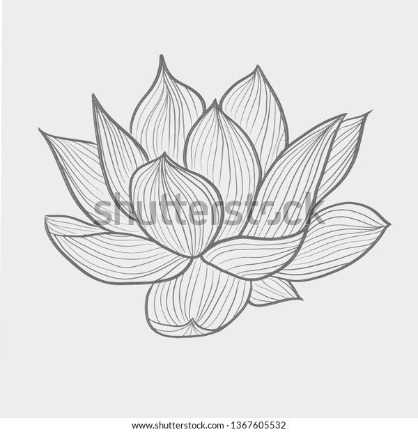 白黒の背景に花のハス 白い背景に ベクターイラスト のベクター画像素材 ロイヤリティフリー Shutterstock