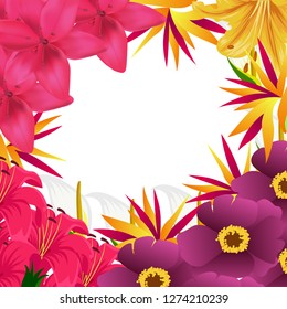 Exotic flowers background, vector illustration