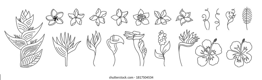 Exotic Flowers Cartoon Set. Tropical Botanical Bright Floral Flat Plants. Wild Flowers Collection. Hawaiian Hand Drawn Color Jungle. Plumeria, Heliconia And Strelitzia. Vector Illustration