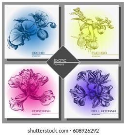 Exotic Flowers Collection: Poinciana, belladonna, fuchsia and orchid cards set