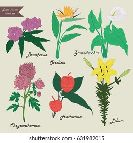 Exotic flowers color set. Vector.