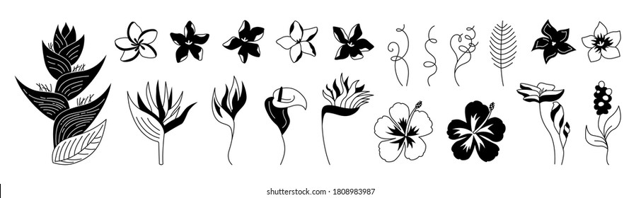 プルメリア シルエット Images Stock Photos Vectors Shutterstock