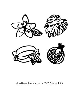 Flores exóticas desenhadas à mão ilustrações vetoriais