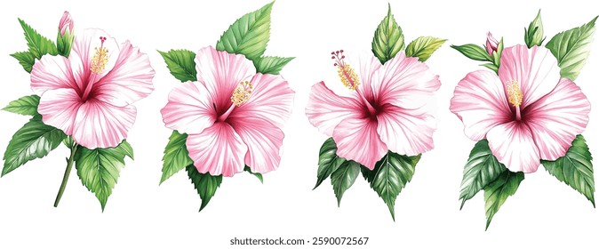 Exotic flowers. hibiscus flowers and leaves. Summer botanical painting, watercolor illustration Jungle flora isolated
