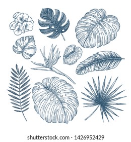 Exotic flowers and leaves collection. Design vector kit. Botanical vintage illustration. Vector illustration
