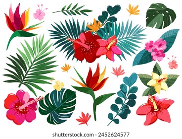 Exotic flowers and leaves. Tropical plant set for design, scrapbooking