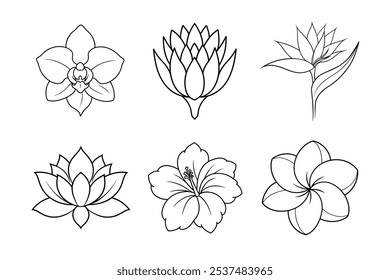 Exotic Flowers Line Art Bundle - Lotus, Hibiscus, Orchidee, Paradiesvogel, Plumeria und Protea