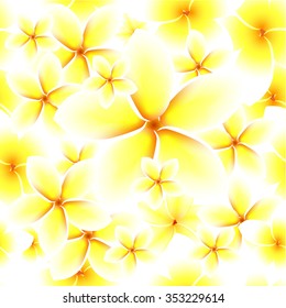 exotic flowers plumeria. Vector
