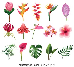 Exotic flowers realistic set with tropical flora symbols isolated vector illustration