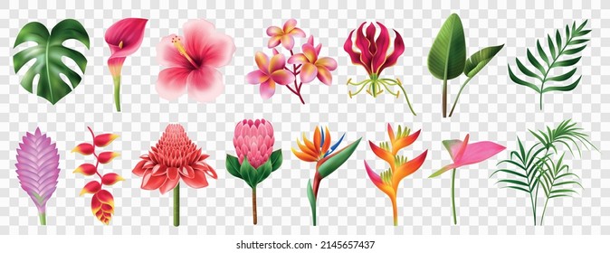Exotic flowers realistic transparent set with blossom symbols isolated vector illustration svg