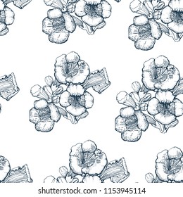 exotic flowers, seamless illustration, vector, hand drawing