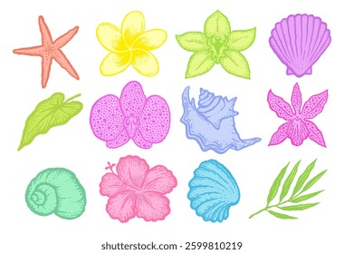Exotic flowers and seashells bright decorative sketches set. Ink hand drawn color vector illustration on white background.