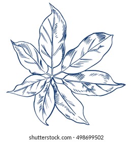 Exotic flowers set. Botanical vector vintage illustration. Design elements.